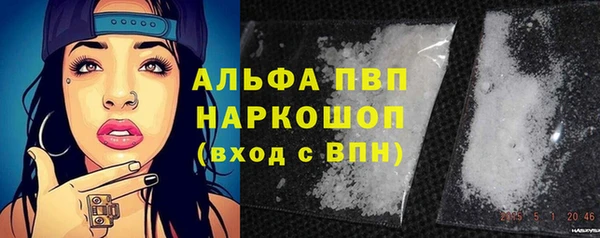молекула духа Алексеевка