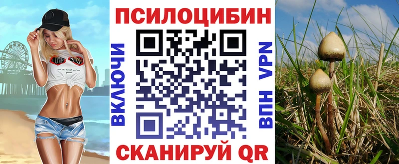 цена   Протвино  Галлюциногенные грибы Psilocybine cubensis 